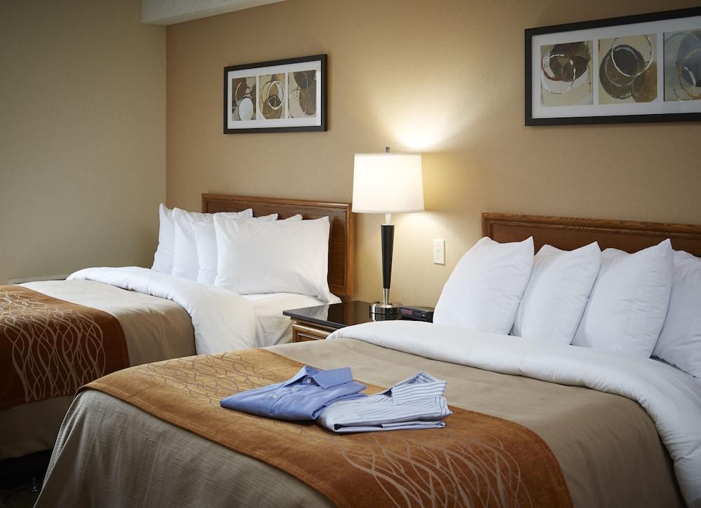 Comfort Inn Corner Brook Extérieur photo