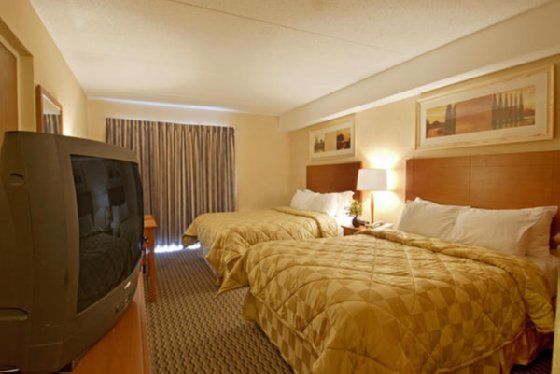 Comfort Inn Corner Brook Chambre photo